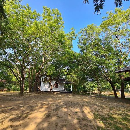 Katagamuwa Rest Hotel Kataragama Buitenkant foto