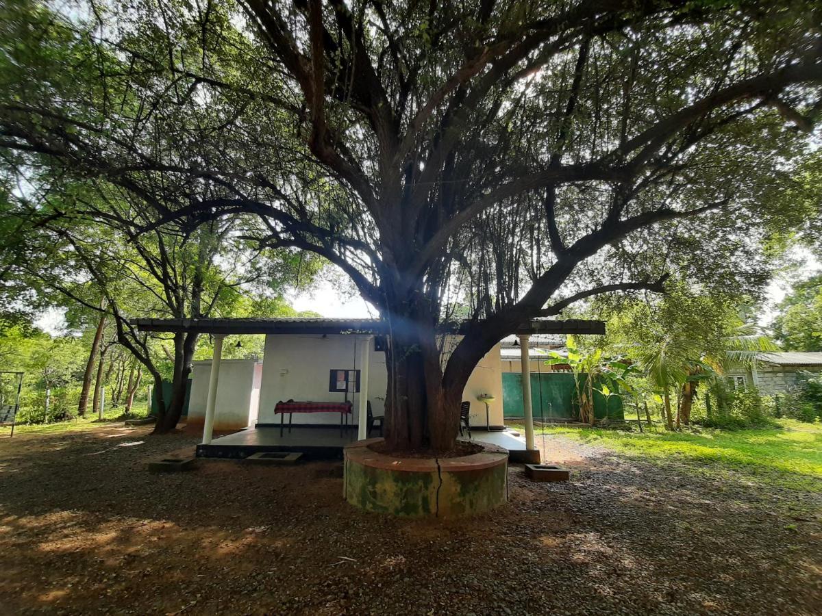 Katagamuwa Rest Hotel Kataragama Buitenkant foto