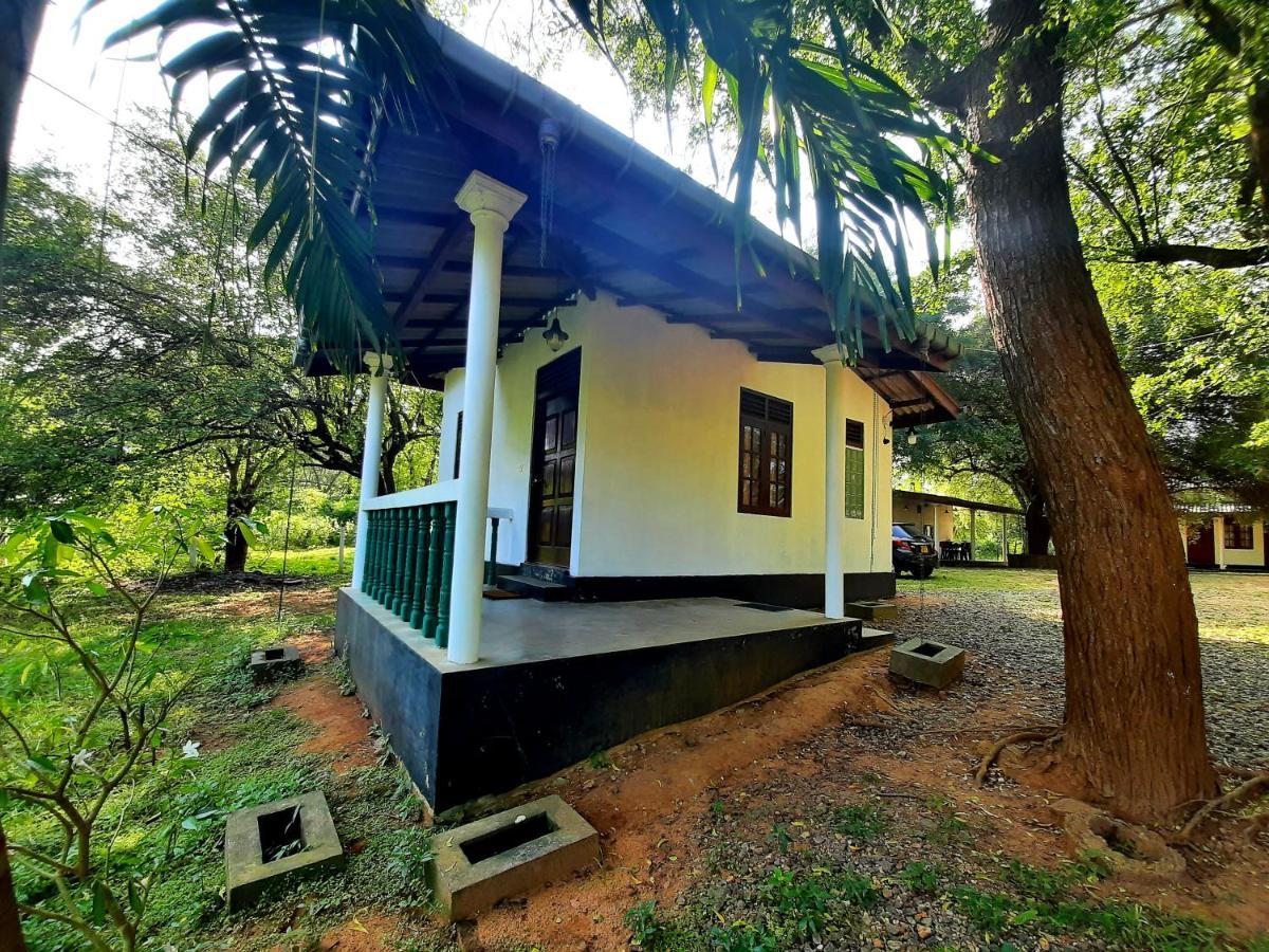 Katagamuwa Rest Hotel Kataragama Buitenkant foto