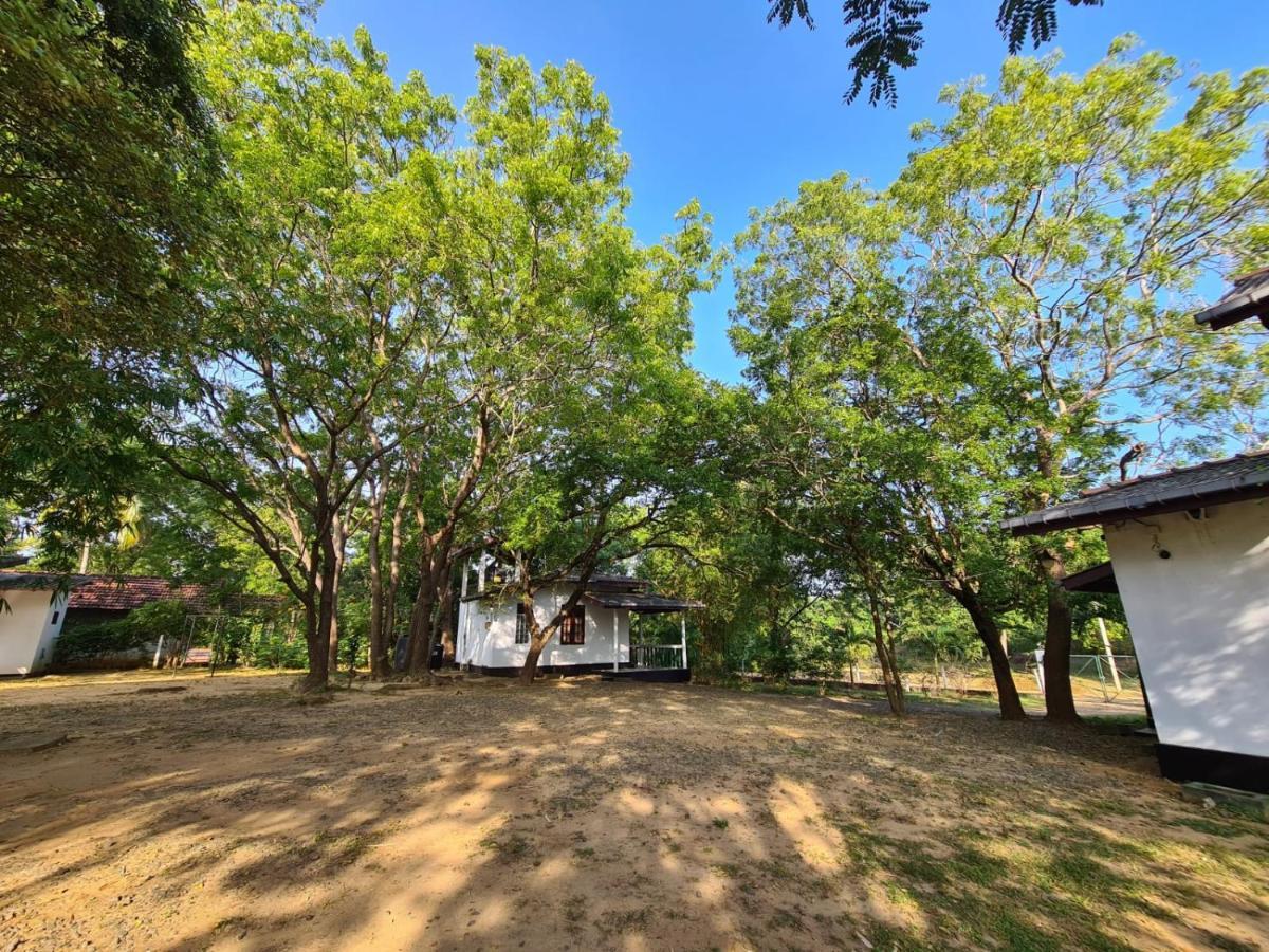 Katagamuwa Rest Hotel Kataragama Buitenkant foto