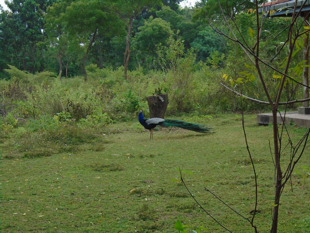 Katagamuwa Rest Hotel Kataragama Buitenkant foto